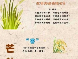 桃源深处有人家：芒种节气传统活动深度解析与体验介绍