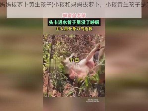 一小孩和妈妈拔萝卜黄生孩子(小孩和妈妈拔萝卜，小孩黄生孩子是怎么回事？)