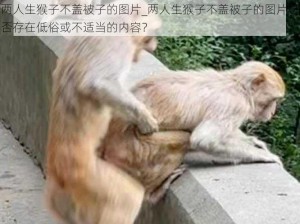 两人生猴子不盖被子的图片_两人生猴子不盖被子的图片是否存在低俗或不适当的内容？