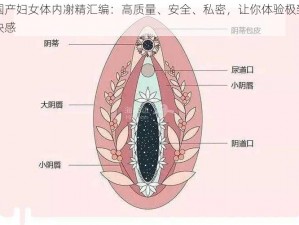 国产妇女体内㓔精汇编：高质量、安全、私密，让你体验极致快感