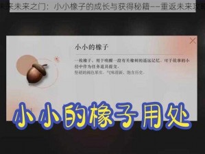 重返未来未来之门：小小橡子的成长与获得秘籍——重返未来攻略分享