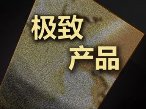 我是你岳你不能错过的 XXX 产品，功能强大，使用方便，带来极致体验