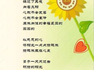 向日葵的绚烂生命赞歌：向阳绽放的美丽篇章