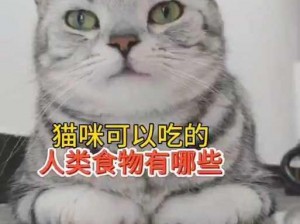 柚子猫是不是被抓了;柚子猫是不是被抓了？