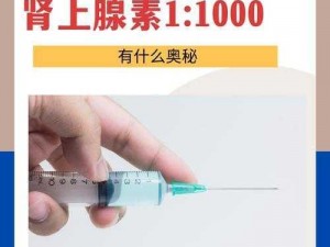 《绝地求生刺激战场：肾上腺素奥秘与获取方法解析》