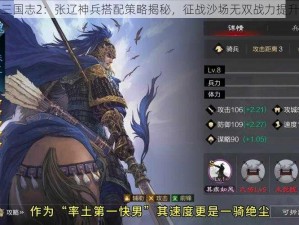 少年三国志2：张辽神兵搭配策略揭秘，征战沙场无双战力提升之道