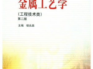 旧版金属大师技能重塑：探究经典金属技艺的精髓与传承价值