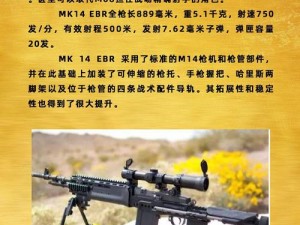 探索光荣使命Mk14EBR：深度解析其卓越性能与伤害属性图鉴