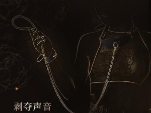 BDSm 暴审女犯 BDSM是什么产品？