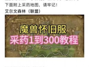 《魔兽世界怀旧服采药秘籍：从新手到大师的进阶攻略》