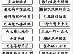 汉字找茬王操攻略揭秘：14字通关技巧全解析与通关指南