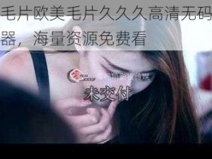 国产毛片欧美毛片久久久高清无码视频播放器，海量资源免费看