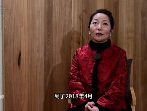 陆婷婷,沈悦,镇南;镇南惊现离奇案件，陆婷婷沈悦神秘失踪