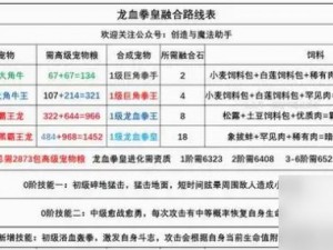 创造与魔法：龙血拳皇的全面解析与深度探讨