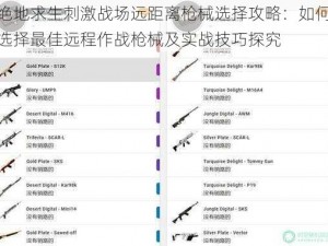 绝地求生刺激战场远距离枪械选择攻略：如何选择最佳远程作战枪械及实战技巧探究