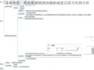 洼地探索：揭秘截图预览功能的深度应用与优势分析