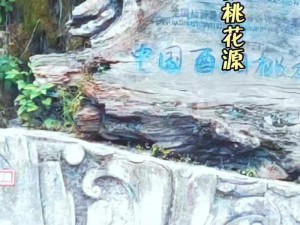 大型文化旅游节目梦寻桃花源免费观看，带您领略陶渊明笔下的世外桃源