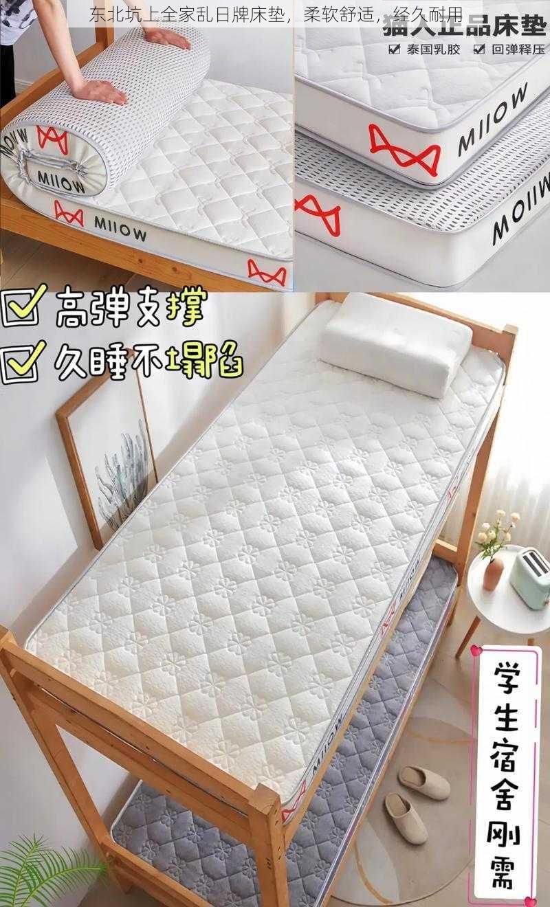 东北坑上全家乱日牌床垫,柔软舒适,经久耐用