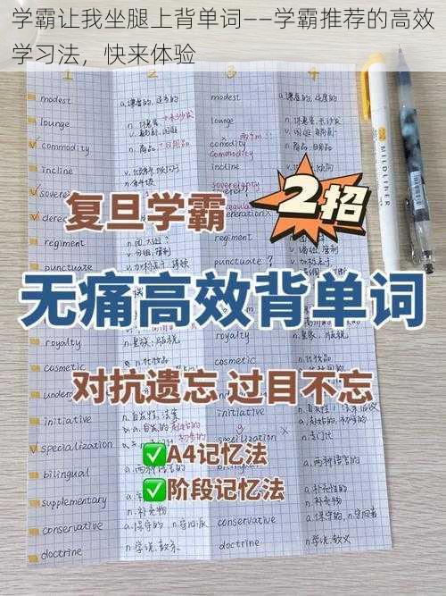 学霸让我坐腿上背单词——学霸推荐的高效学习法，快来体验