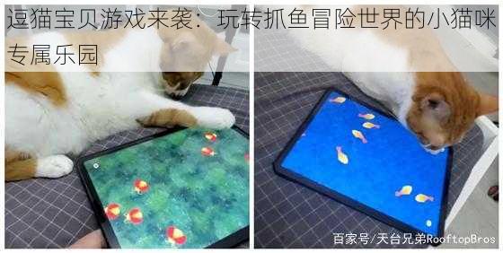 逗猫宝贝游戏来袭：玩转抓鱼冒险世界的小猫咪专属乐园