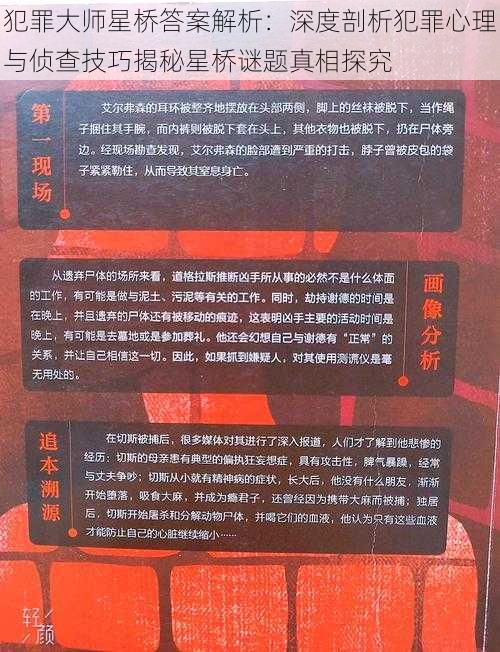 犯罪大师星桥答案解析：深度剖析犯罪心理与侦查技巧揭秘星桥谜题真相探究