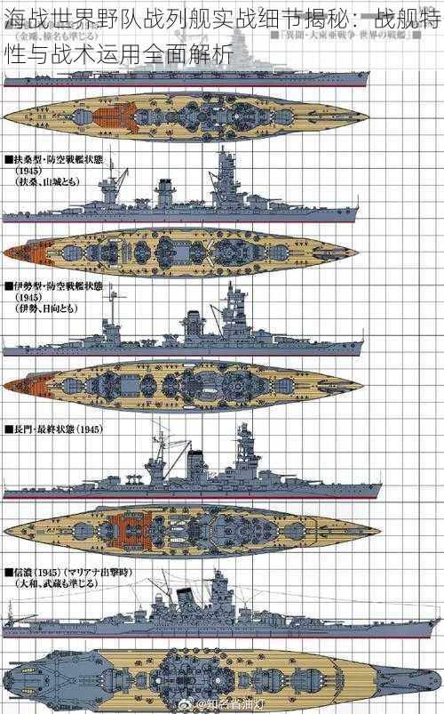 海战世界野队战列舰实战细节揭秘：战舰特性与战术运用全面解析