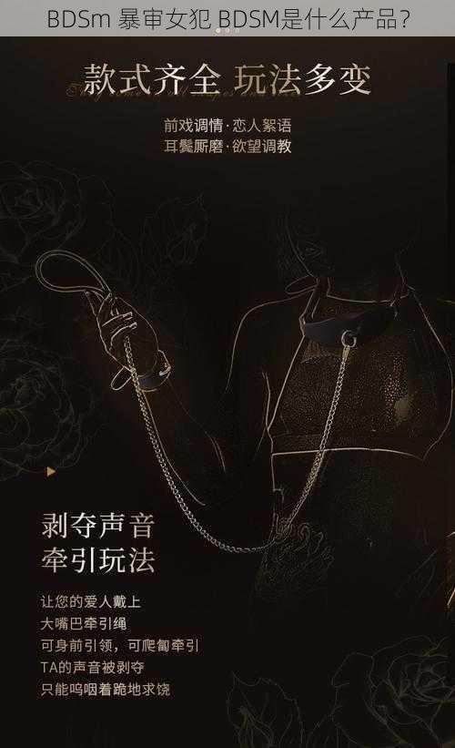 BDSm 暴审女犯 BDSM是什么产品？