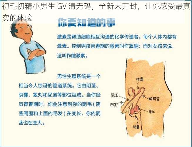 初毛初精小男生 GV 清无码，全新未开封，让你感受最真实的体验