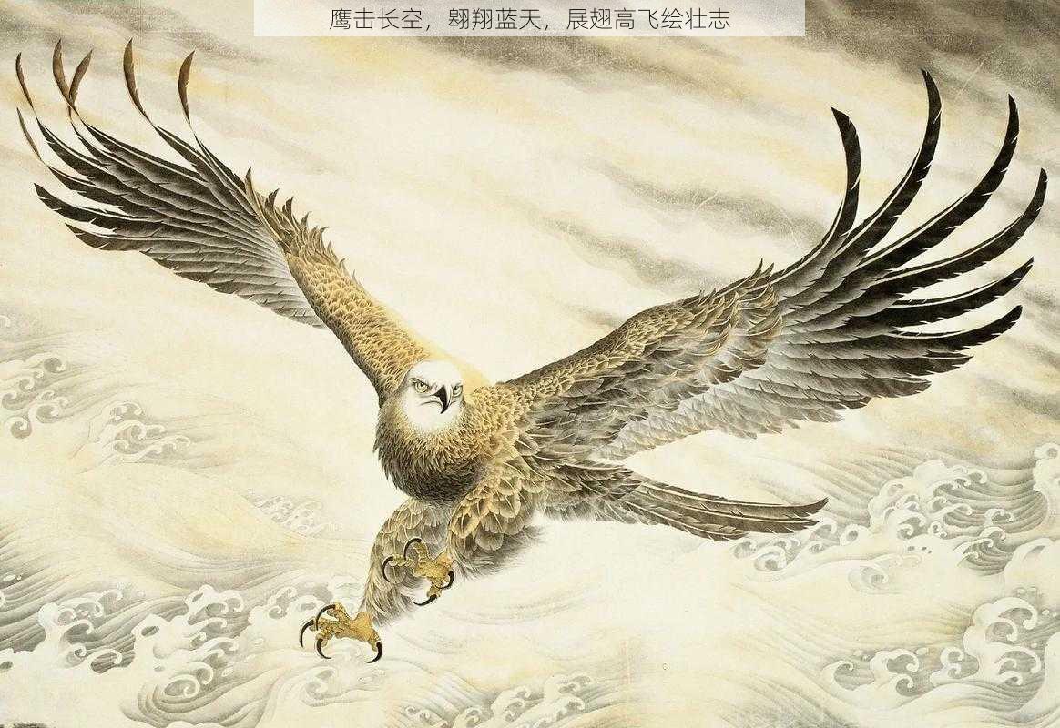 鹰击长空，翱翔蓝天，展翅高飞绘壮志