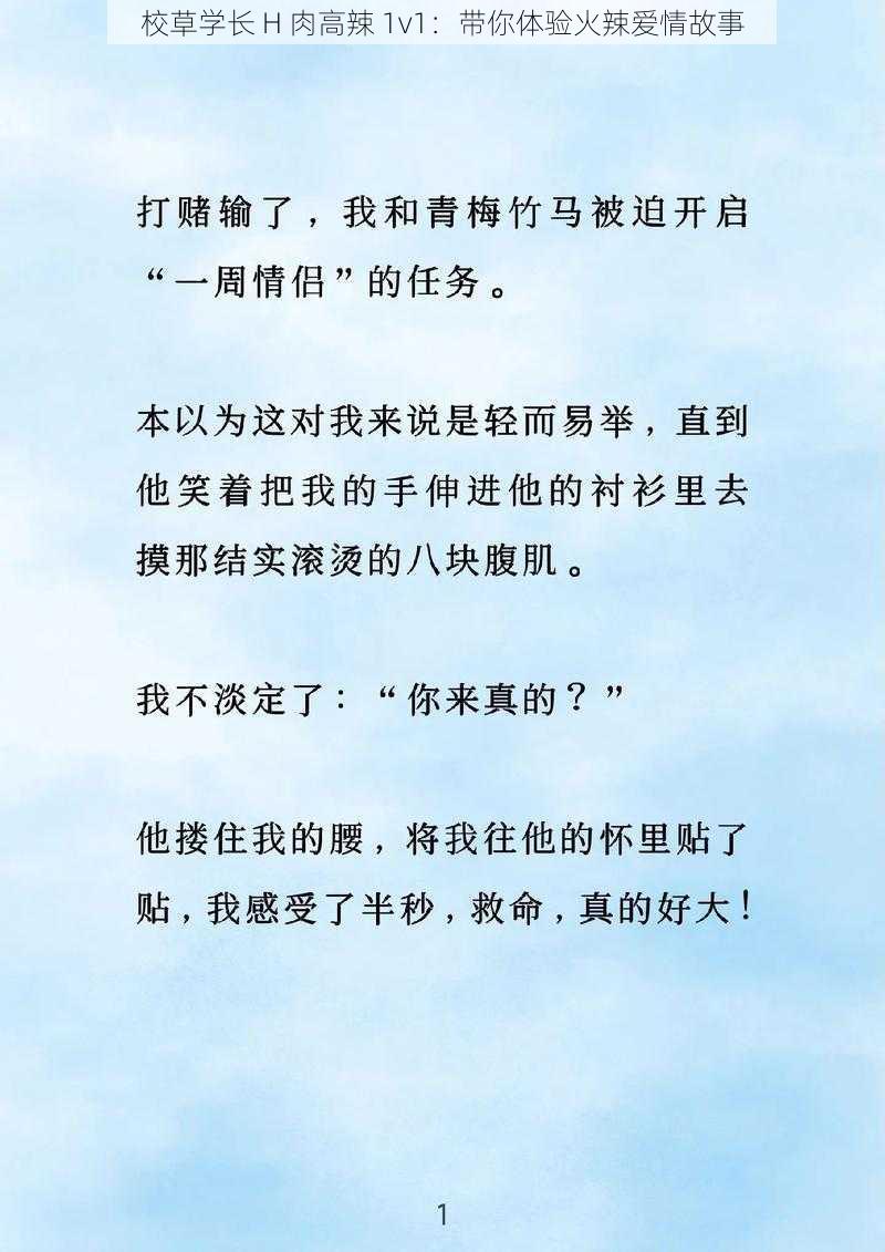 校草学长 H 肉高辣 1v1：带你体验火辣爱情故事