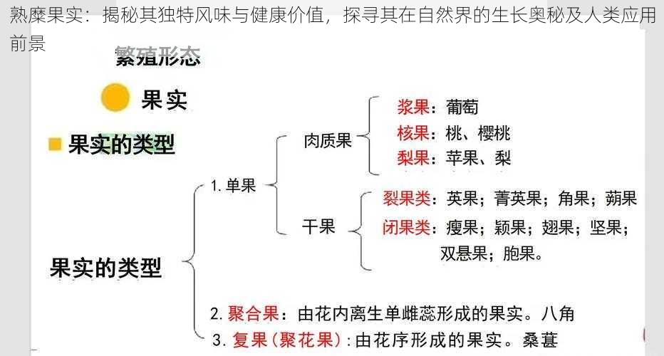 熟糜果实：揭秘其独特风味与健康价值，探寻其在自然界的生长奥秘及人类应用前景