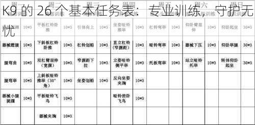 K9 的 26 个基本任务表：专业训练，守护无忧