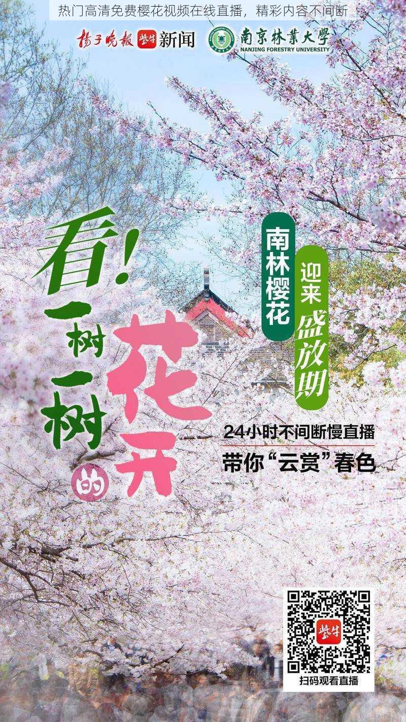 热门高清免费樱花视频在线直播，精彩内容不间断