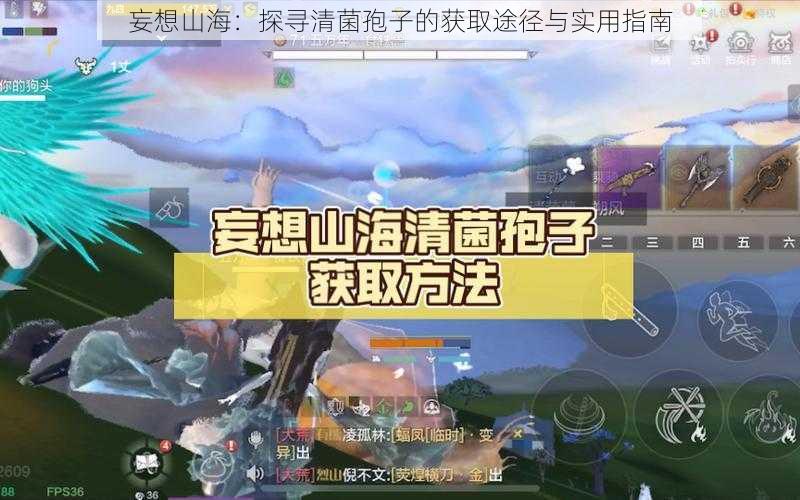 妄想山海：探寻清菌孢子的获取途径与实用指南