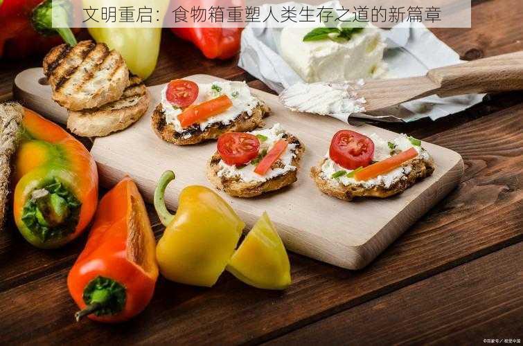 文明重启：食物箱重塑人类生存之道的新篇章