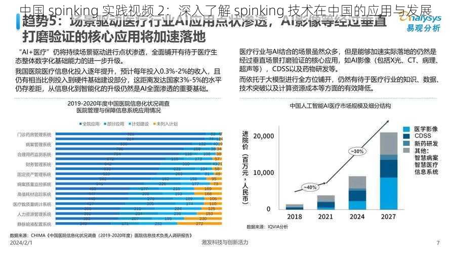 中国 spinking 实践视频 2：深入了解 spinking 技术在中国的应用与发展