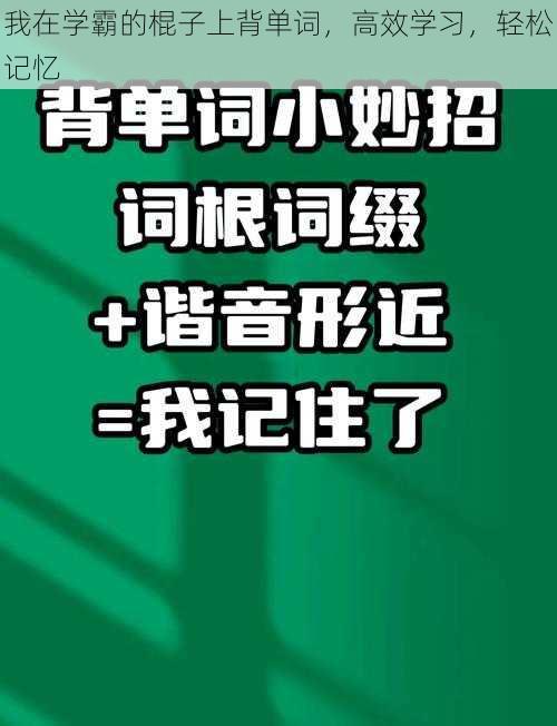 我在学霸的棍子上背单词，高效学习，轻松记忆