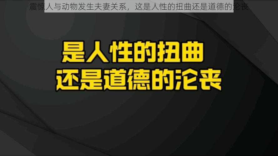 震惊人与动物发生夫妻关系，这是人性的扭曲还是道德的沦丧