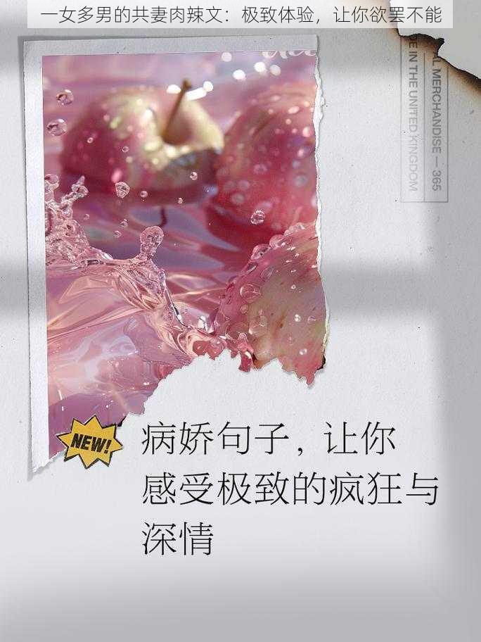 一女多男的共妻肉辣文：极致体验，让你欲罢不能