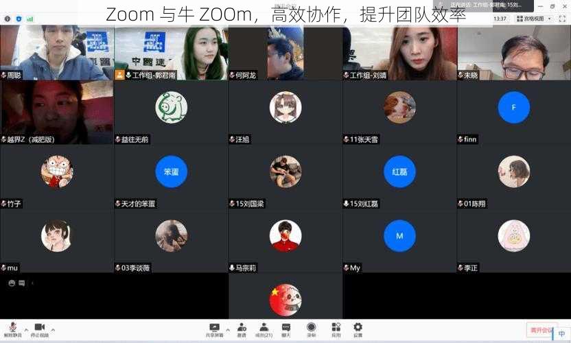 Zoom 与牛 ZOOm，高效协作，提升团队效率