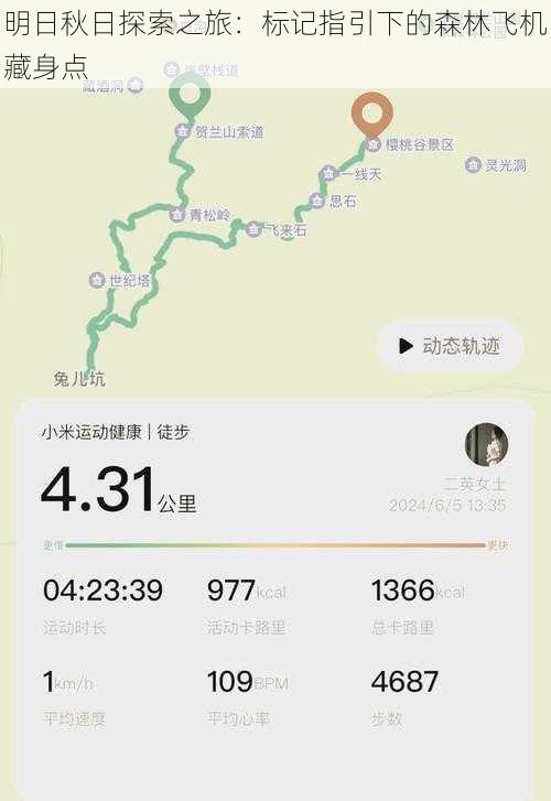 明日秋日探索之旅：标记指引下的森林飞机藏身点