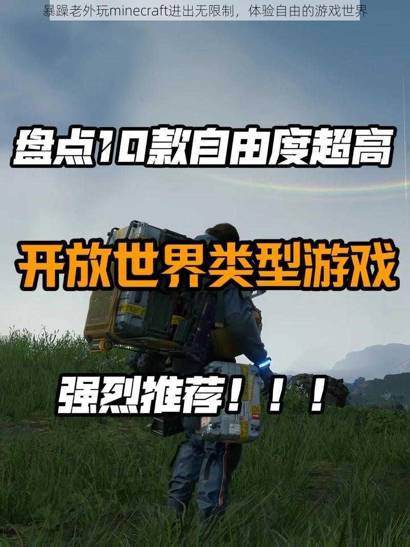 暴躁老外玩minecraft进出无限制，体验自由的游戏世界