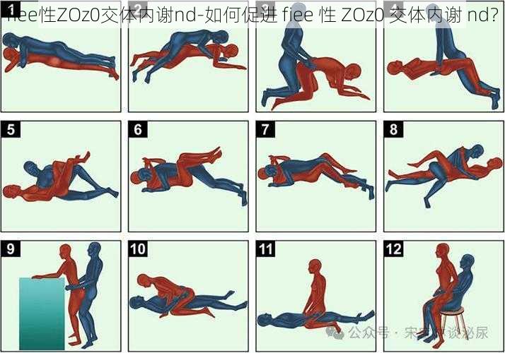 fiee性ZOz0交体内谢nd-如何促进 fiee 性 ZOz0 交体内谢 nd？