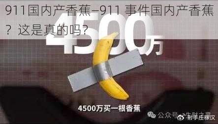 911国内产香蕉—911 事件国内产香蕉？这是真的吗？