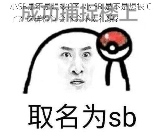 小SB是不是想被C了-小 SB 是不是想被 C 了？这样提问会不会不太礼貌？