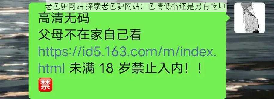 老色驴网站 探索老色驴网站：色情低俗还是另有乾坤？