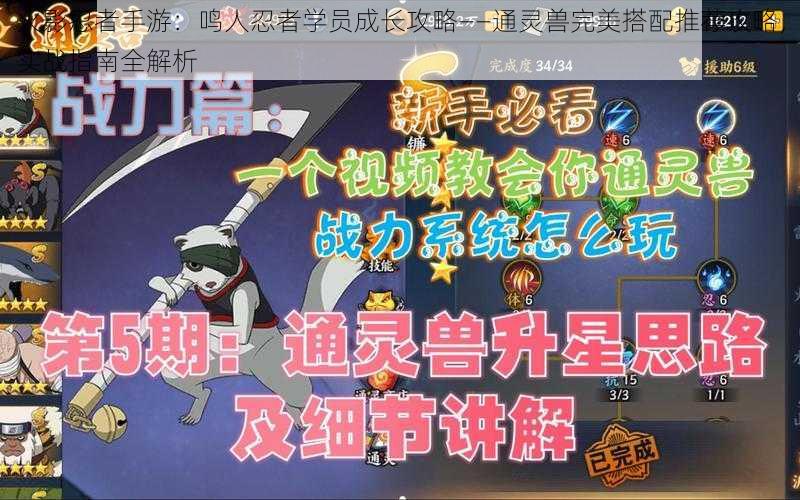 火影忍者手游：鸣人忍者学员成长攻略——通灵兽完美搭配推荐攻略，实战指南全解析