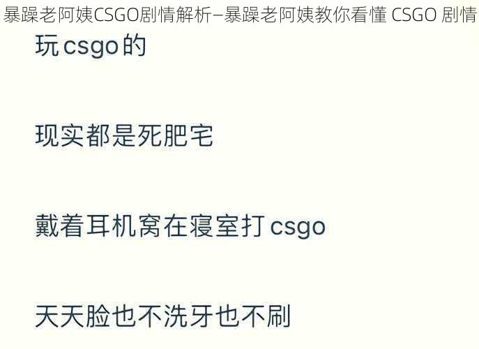 暴躁老阿姨CSGO剧情解析—暴躁老阿姨教你看懂 CSGO 剧情