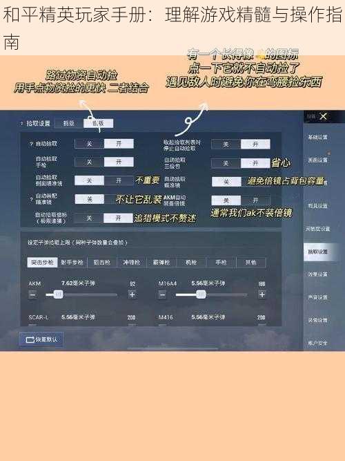 和平精英玩家手册：理解游戏精髓与操作指南