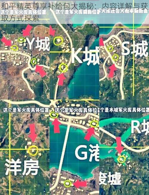 和平精英尊享补给包大揭秘：内容详解与获取方式探索